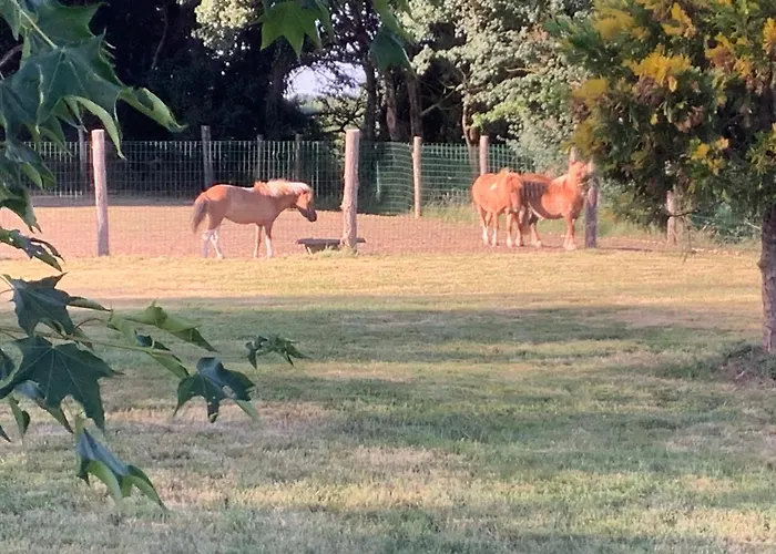 Vallee Magique Panissaud