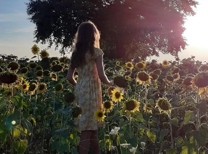 Σπίτι διακοπών Vallee Magique Panissaud