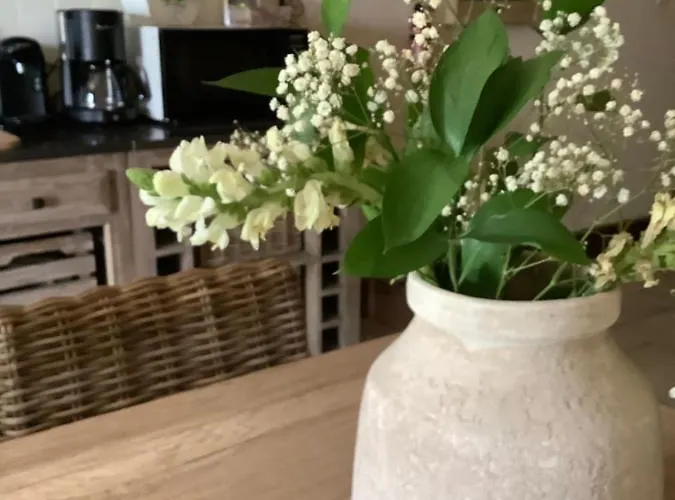 Vallee Magique Panissaud Σπίτι διακοπών Le Grand-Madieu