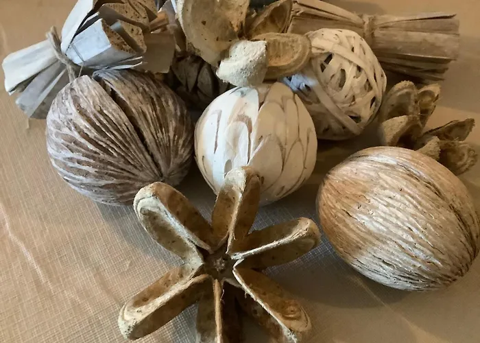 Vallée Magique Panissaud *